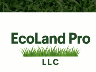 Screenshot-2025-06-16-at-2.36.18 PM